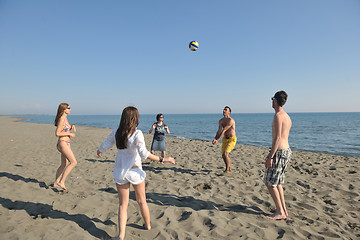 Image showing young people group have fun and play beach volleyball