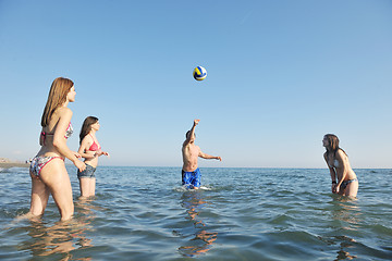 Image showing young people group have fun and play beach volleyball