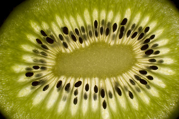 Image showing kiwi