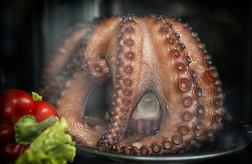 Image showing Displayed octopus Spain