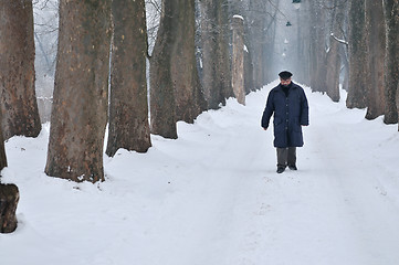 Image showing one senior man wak outdoor in nature