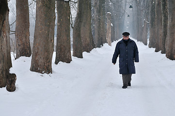 Image showing one senior man wak outdoor in nature