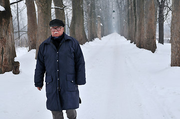 Image showing one senior man wak outdoor in nature