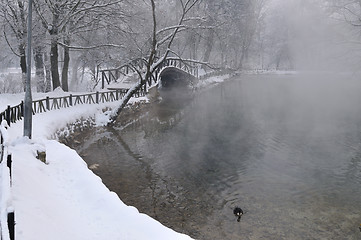 Image showing small wooden bridge at winter