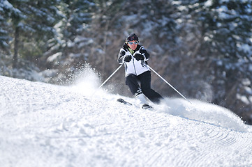 Image showing winer woman ski