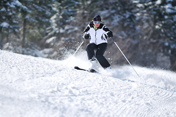 Image showing winer woman ski