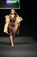 Image showing fashion show woman