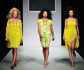 Image showing fashion show