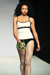 Image showing fashion show woman