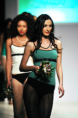 Image showing fashion show woman