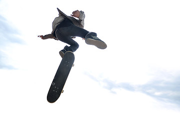 Image showing Boy practicing skate in a skate park - isolated