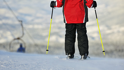 Image showing winter ski