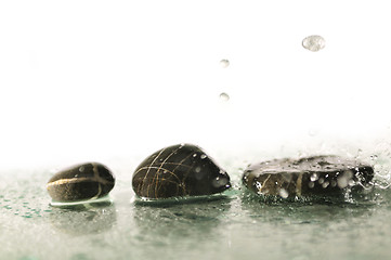 Image showing isolated wet zen stones with splashing  water drops