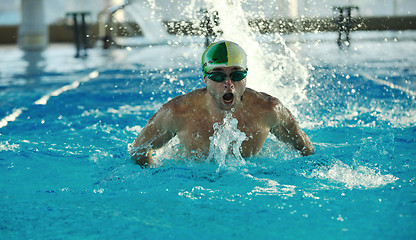 Image showing swimmer