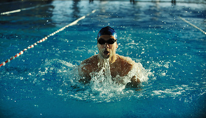 Image showing swimmer