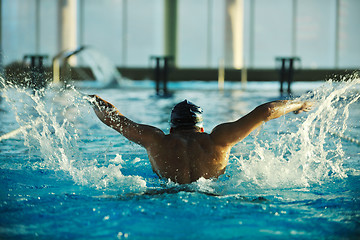 Image showing swimmer