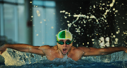 Image showing swimmer