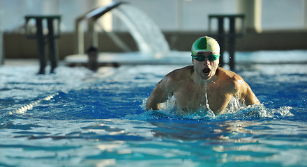 Image showing swimmer