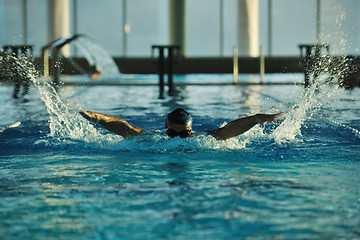 Image showing swimmer