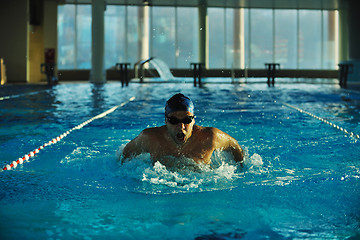 Image showing swimmer