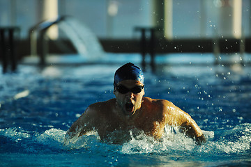 Image showing swimmer