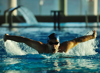 Image showing swimmer