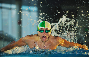 Image showing swimmer