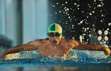 Image showing swimmer