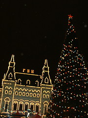 Image showing building decorated with fires and a fur-tree