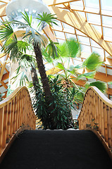 Image showing tropical restaurant indoor