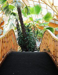 Image showing tropical restaurant indoor