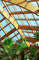 Image showing palm and wooden roof construction