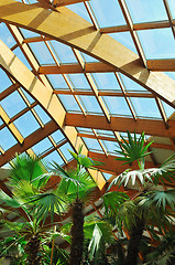 Image showing palm and wooden roof construction