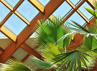 Image showing palm and wooden roof construction