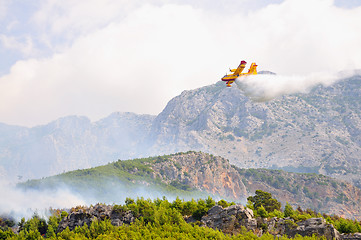 Image showing Airplane droping water on fire 