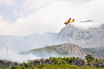 Image showing Airplane droping water on fire 