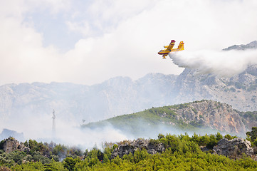 Image showing Airplane droping water on fire 