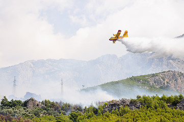 Image showing Airplane droping water on fire 