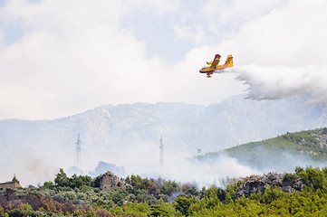 Image showing Airplane droping water on fire 