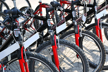 Image showing Bicycles for rent