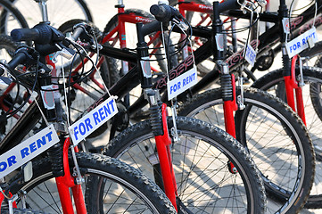 Image showing Bicycles for rent