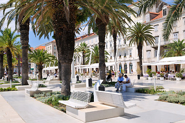 Image showing People on holiday sitting under palm