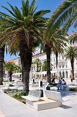 Image showing People on holiday sitting under palm