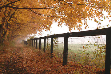 Image showing fence mist