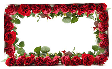 Image showing red roses frame 