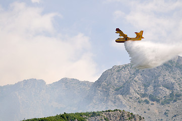 Image showing Airplane droping water on fire 