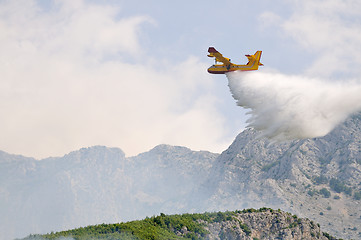 Image showing Airplane droping water on fire 