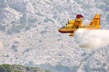 Image showing Airplane droping water on fire 