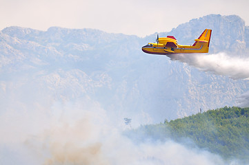 Image showing Airplane droping water on fire 