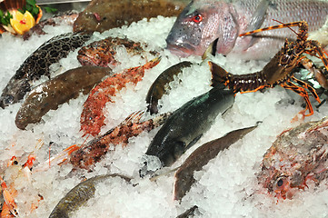 Image showing frozen sea fish in ice